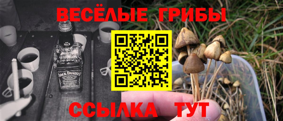 Псилоцибиновые грибы Cubensis Калуга